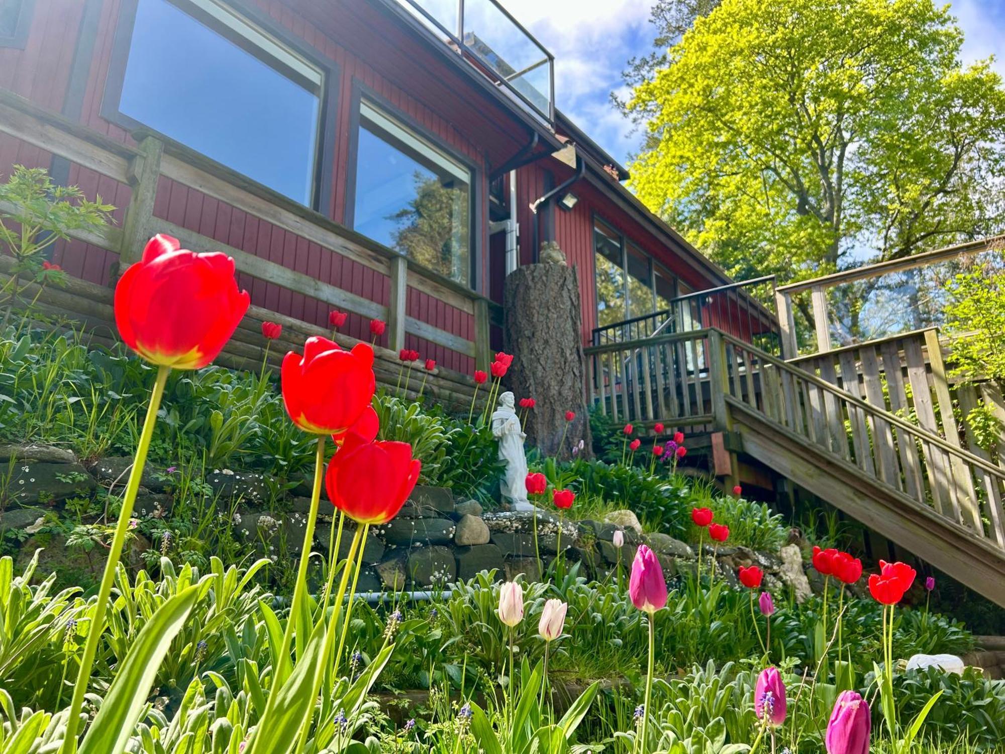 Shangrila Waterfront Vacation Home Bedwell Harbour Екстериор снимка