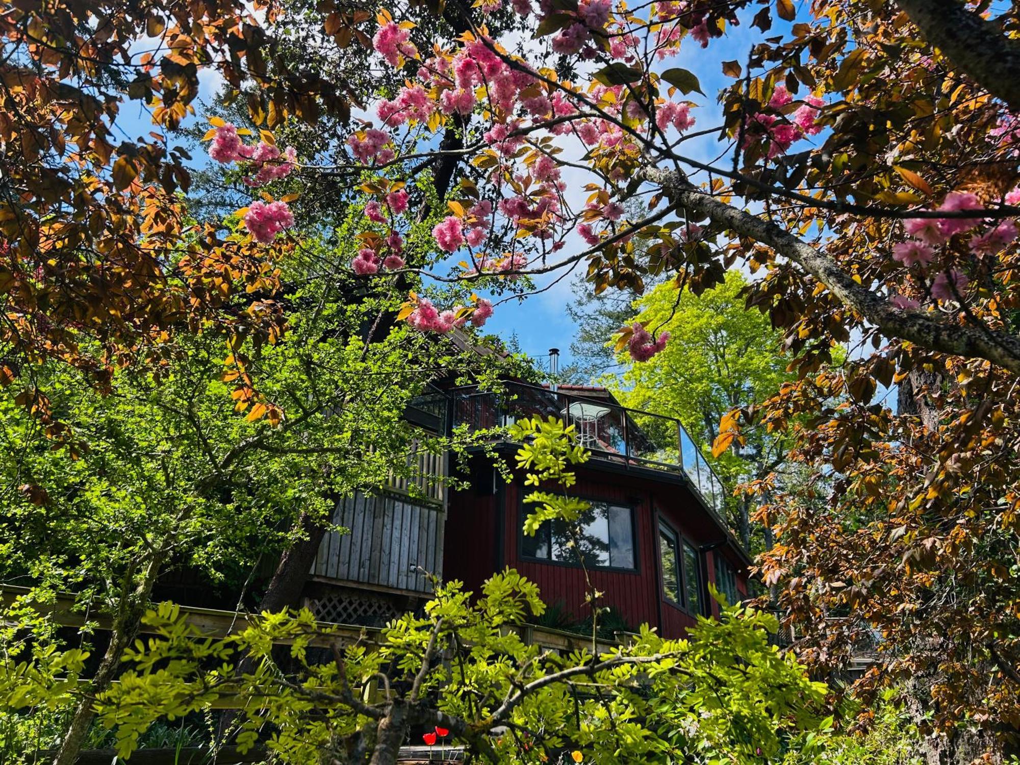 Shangrila Waterfront Vacation Home Bedwell Harbour Екстериор снимка
